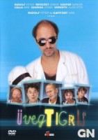 Üvegtigris (2001)